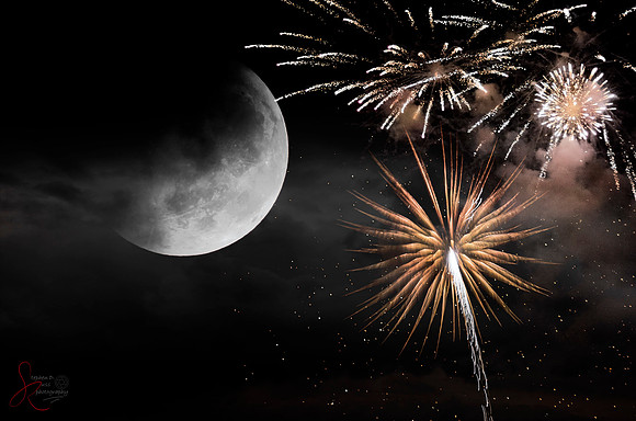 Moon Flower 2a©