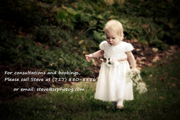 wedding, reception, celebration, family, bride, groom